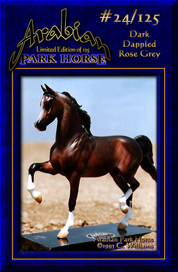Arabian Park Horse #24