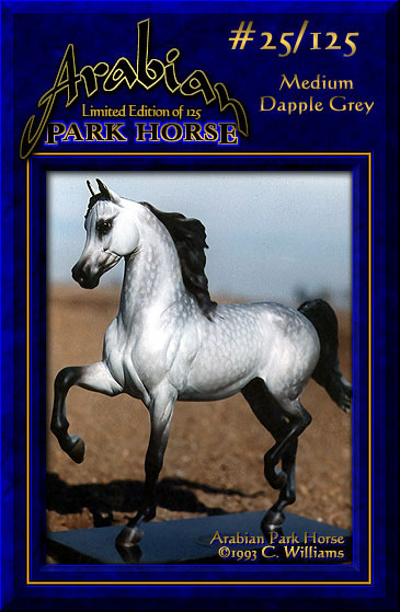 Arabian Park Horse #25