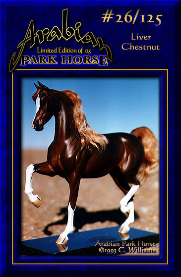 Arabian Park Horse #26