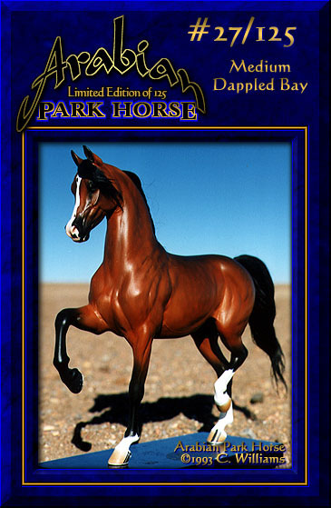 Arabian Park Horse #27