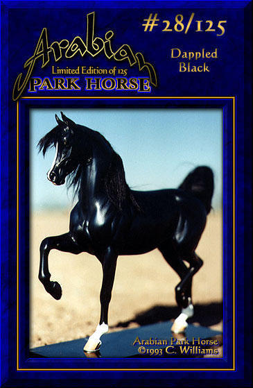 Arabian Park Horse #28