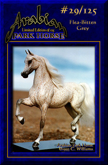 Arabian Park Horse #29