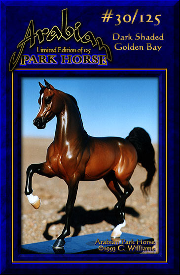 Arabian Park Horse #30