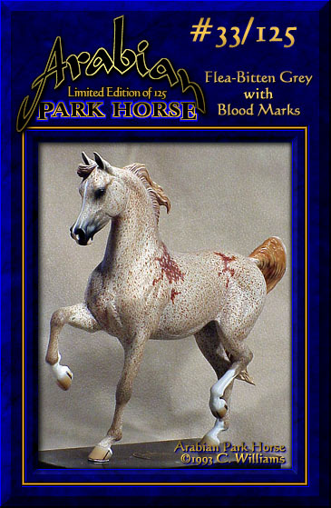 Arabian Park Horse #33