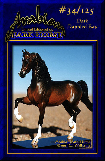 Arabian Park Horse #34