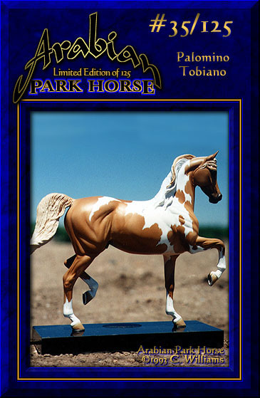 Arabian Park Horse #35