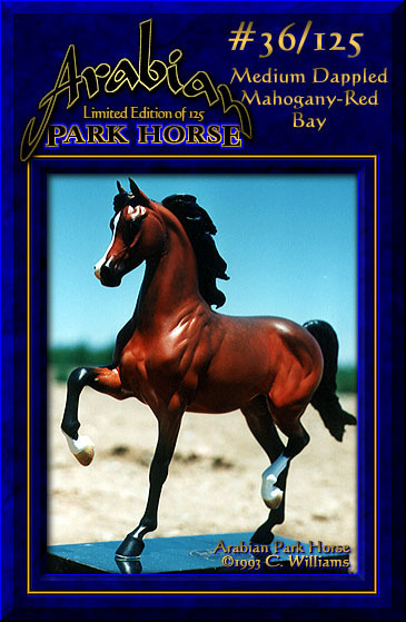 Arabian Park Horse #36