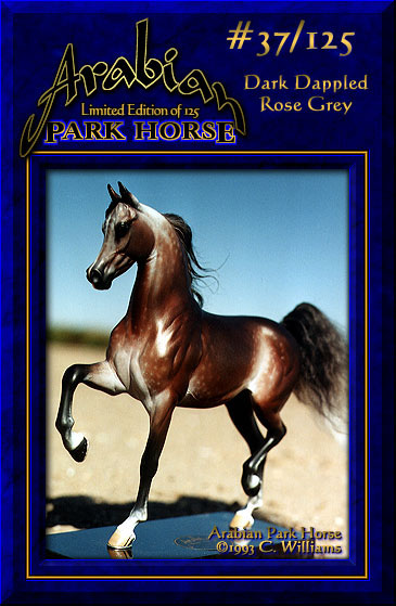Arabian Park Horse #37