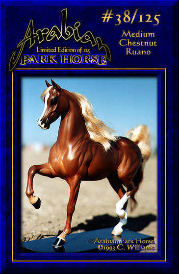 Arabian Park Horse #38