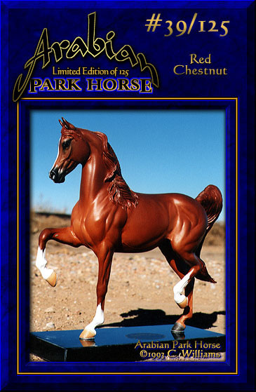 Arabian Park Horse #39