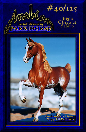 Arabian Park Horse #40