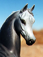 Arabian Park Horse Phase 2 #43/125