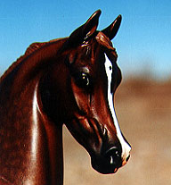 Arabian Park Horse Phase 2 #45/125