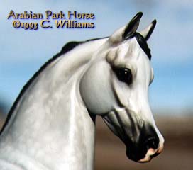 Arabian Park Horse Phase 2 #53/125