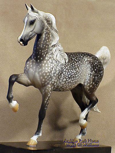 Arabian Park Horse Phase 2 #59/125