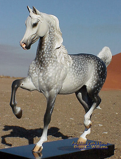 Arabian Park Horse Phase 2 #64/125