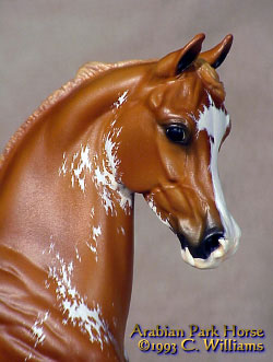 Arabian Park Horse Phase 2 #68/125