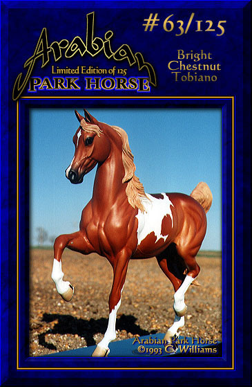 Arabian Park Horse #63/125