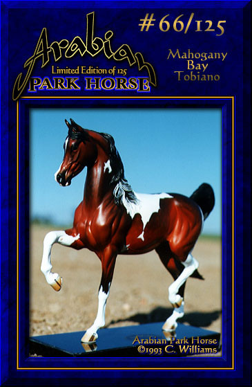 Arabian Park Horse #66/125