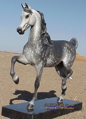 Arabian Park Horse Phase 2 #81/125