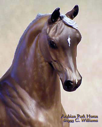 Arabian Park Horse Phase 2 #94/125