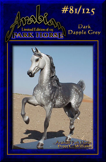 Arabian Park Horse Phase 2 #81/125