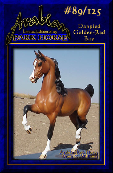 Arabian Park Horse Phase 2 #89/125