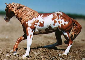 Power Steering Painted by C. Williams