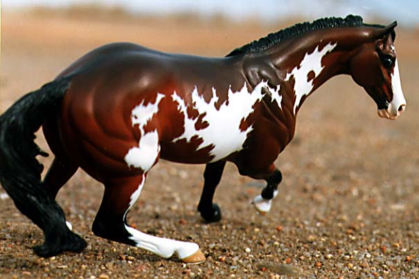 Power Steering Painted by C. Williams