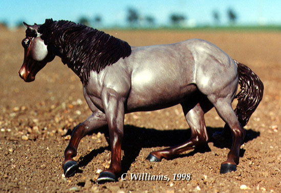 Power Steering Painted by C. Williams