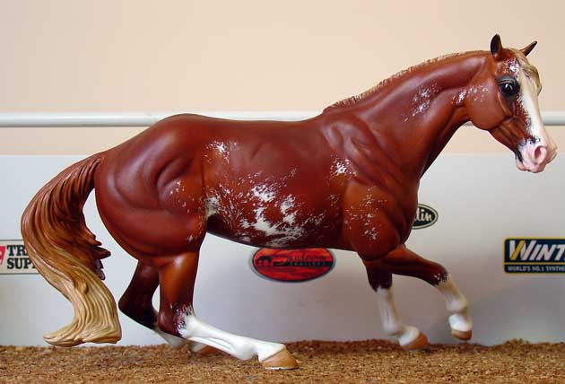 Whiplash Painted by Tracy Eilers