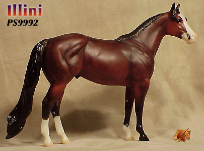 Illini ISH Catalog Run 2000