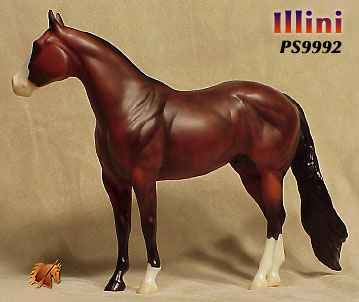 Illini ISH Catalog Run 2000