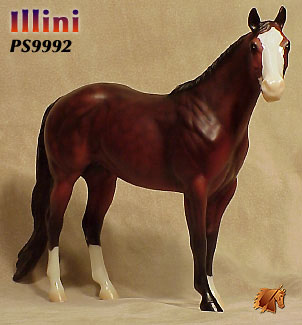 Illini ISH Catalog Run 2000