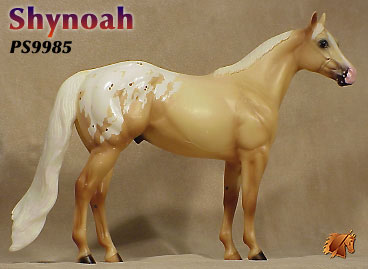 Shynoah - ISH Catalog Run 2000