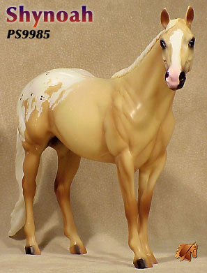 Shynoah - ISH Catalog Run 2000