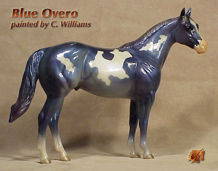 Unique ISH Blue Overo by C Williams