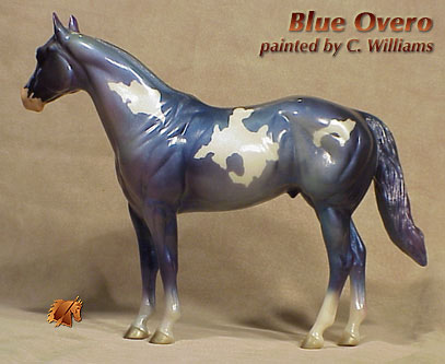 Unique ISH Blue Overo by C Williams