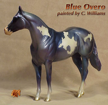 Unique ISH Blue Overo by C Williams