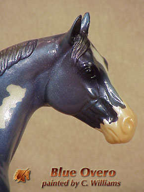 Unique ISH Blue Overo by C Williams