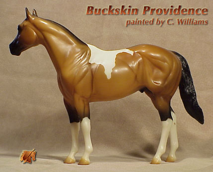 Unique Buckskin Providence by C Williams