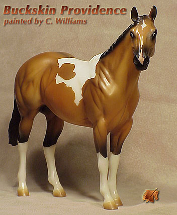 Unique Buckskin Providence by C Williams