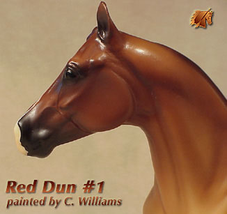 Unique ISH Red Dun #1 by C Williams