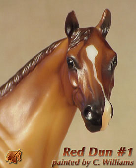 Unique ISH Red Dun #1 by C Williams