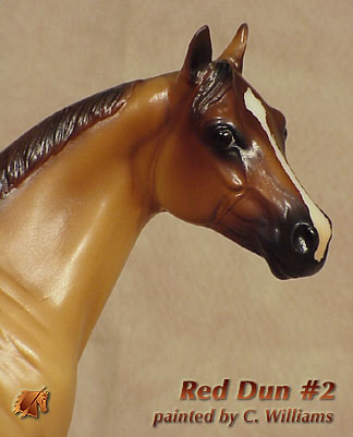 Unique ISH Red Dun #2 by C Williams