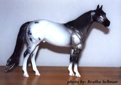 Coho - ISH Special Run