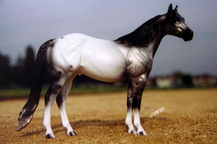 Coho - ISH Special Run