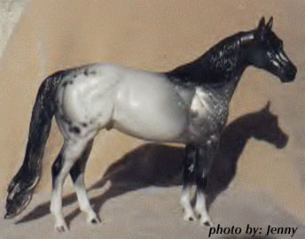 Coho - ISH Special Run