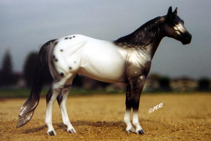 Coho - ISH Special Run