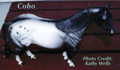 Coho - ISH Special Run